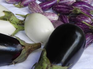 eggplants-DSCN5138