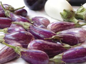 eggplants-DSCN5150
