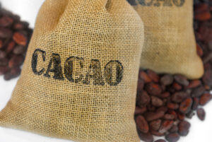 cacaobag-shutterstock_100886587