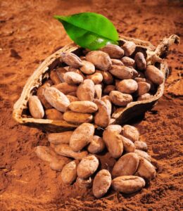 cacaopod+beans+powdershutterstock_96107318