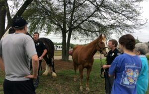 Officer David Misenhelter (center) introduce Reggie and Della of the Mounted Patrol to CPA.