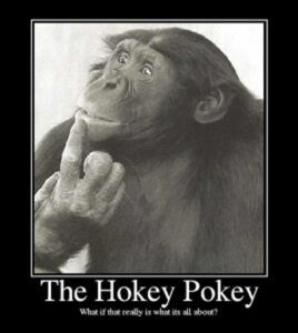 hokey pokey monkey