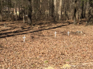 White crosses mark the graves.
