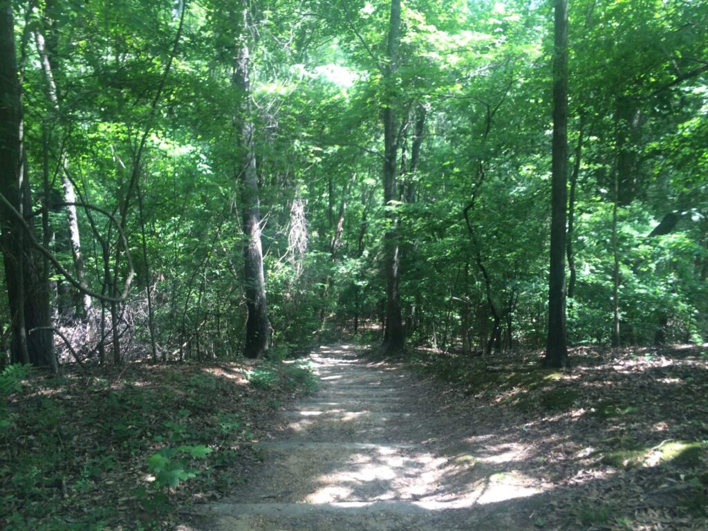 A view down the stairs that were installed to help make walking easier despite the soil erosion. 