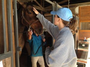 Roher feeds her horse, Sassy, a treat.