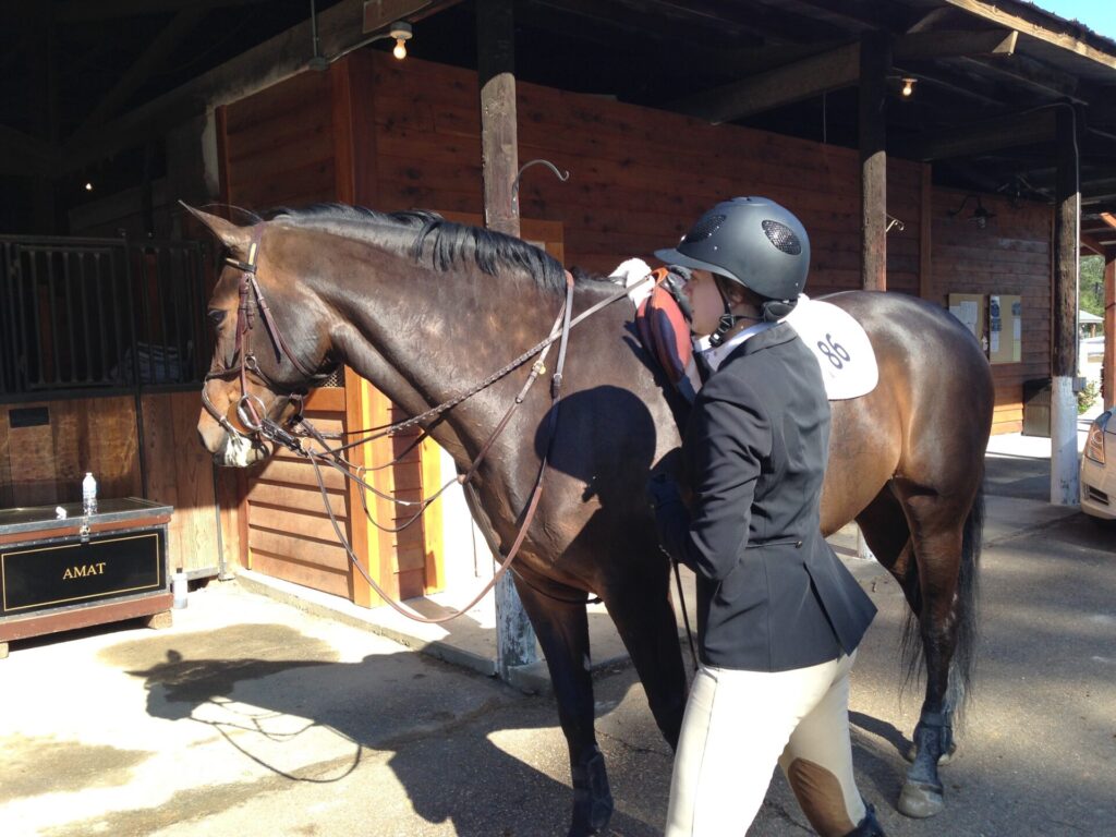 Roher guides her horse, Sassy, to her stable after her jumps.