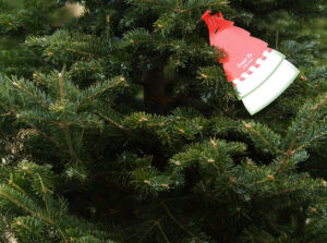 Christmas trees and wreaths from New Hampshire will be available at the Holiday Marketplace Dec. 3.