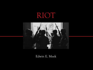 Riot low res cover
