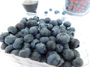 blueberries-DSCN0938