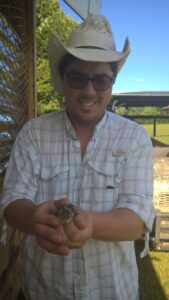 Johnny Quong with one of his newly-hatched quails.