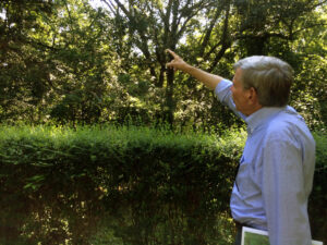 Ed Croom points where some now-absent plants once bloomed around Rowan Oak. 