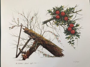faulkner-apple-tree-print