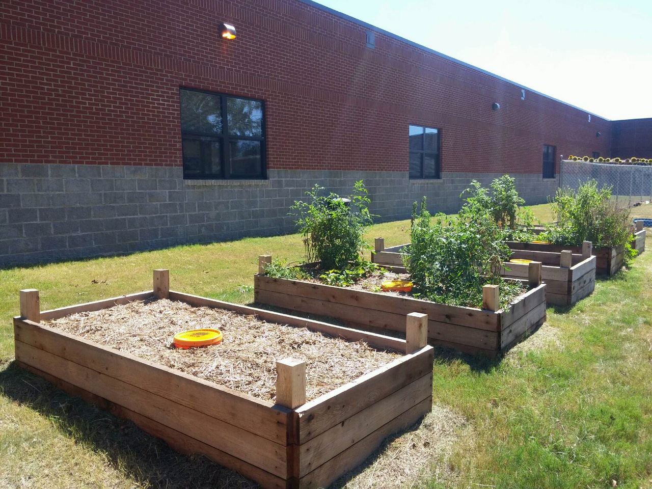 Garden Beds at Lafayette High School 