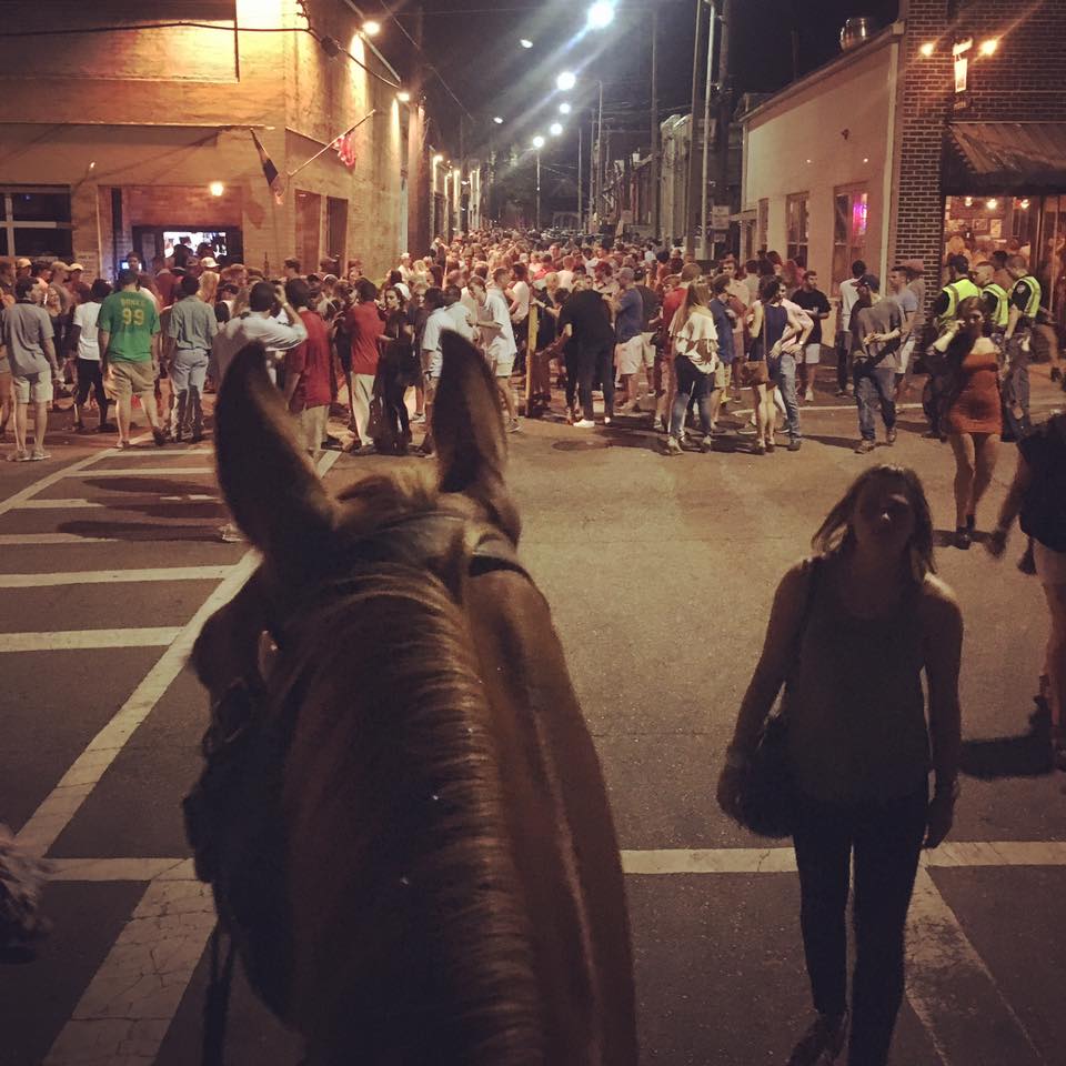 horses-oxford-mounted-patrol