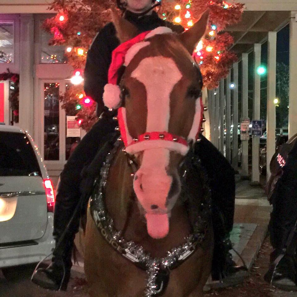 horses-oxford-mounted-patrol