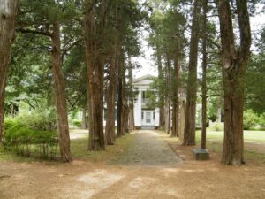 The tree-lined walkway at William Faulkner's home, Rowan Oak.