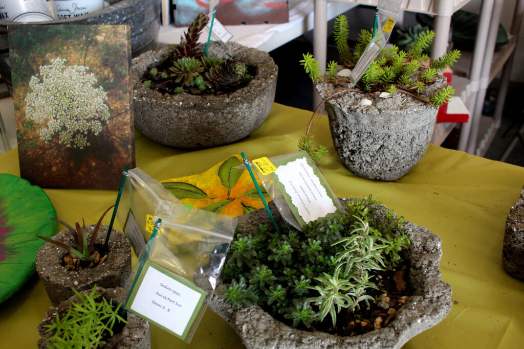 Plants for sale at the Garden Expo 