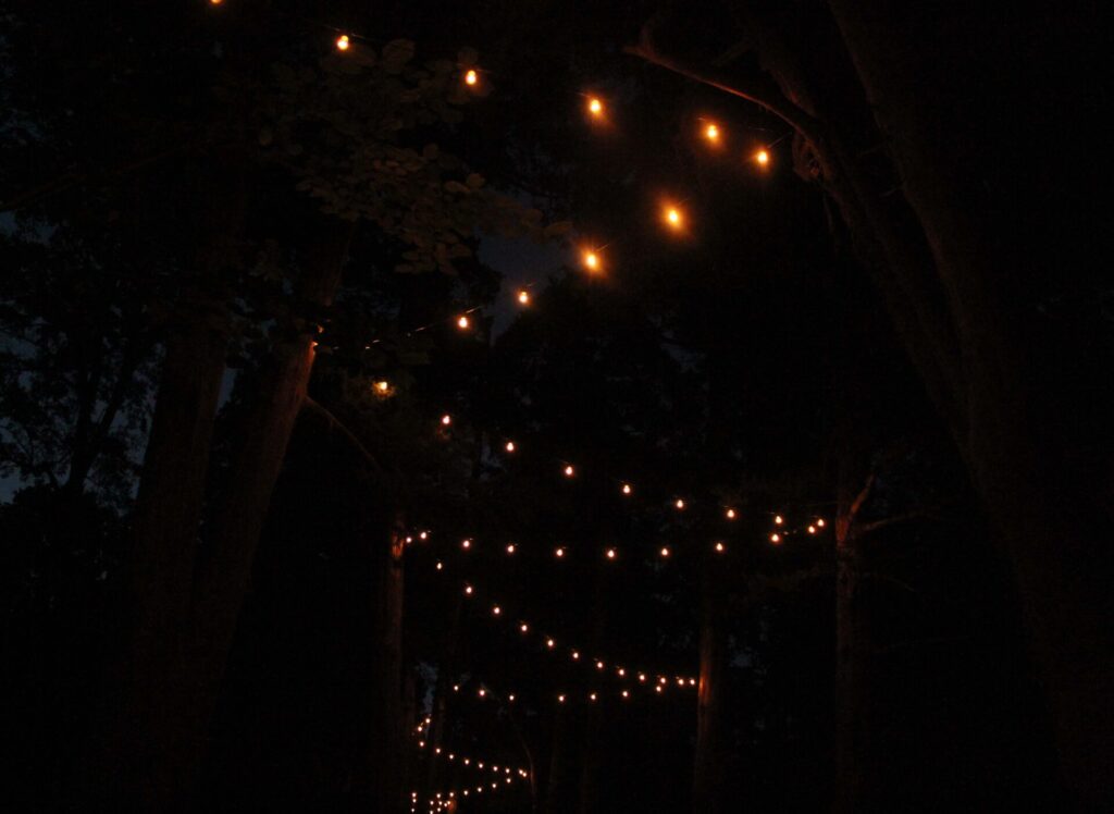 The overhanging lights  of Rowan Oak's gravel path 