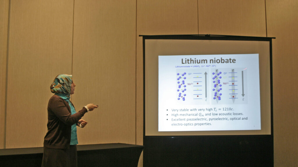 Cecille Labuda, assistant professor of physics and astronomy, shares her research at a recent conference. Photo courtesy of UM News. 