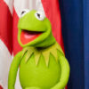 Pic of Kermit the Frog