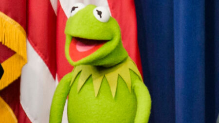 Pic of Kermit the Frog