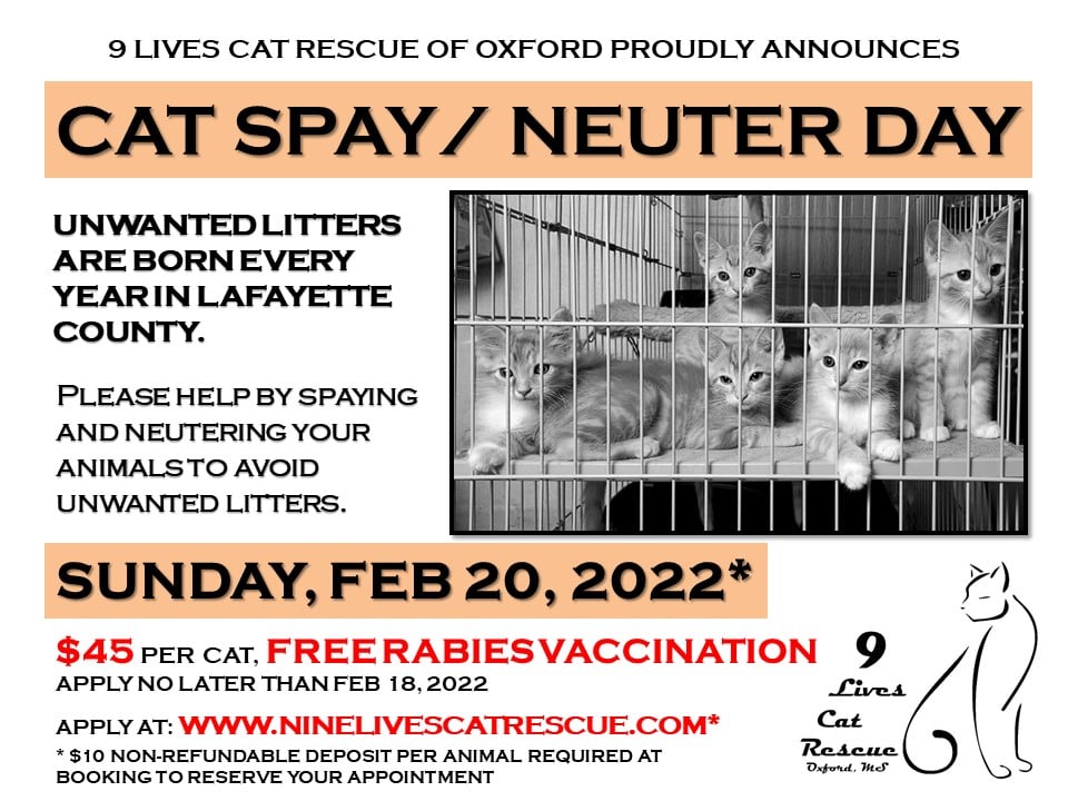 9 Lives Cat Rescue to Hold Spay Day 