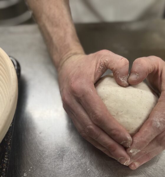 Hands molding dough.